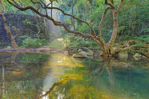 Fototapeta Naklejka Na Ścianę i Meble -  a scenery of country park Shing Mun reservoir in Hong Kong