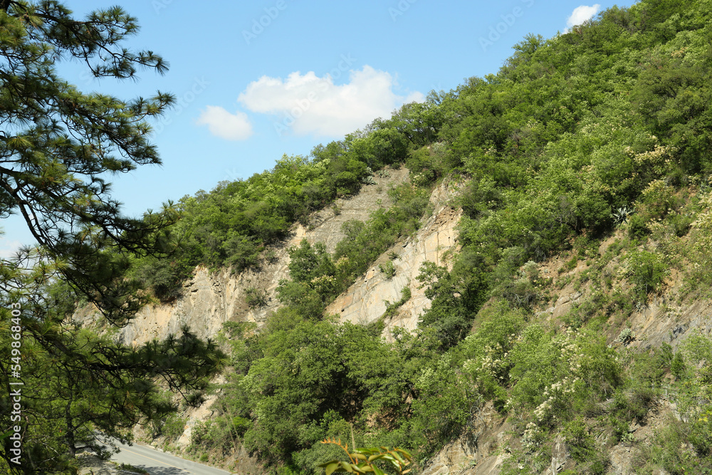 Beautiful mountain with trees, flowers and bushes near road Beautiful mountain with trees, flowers and bushes near road