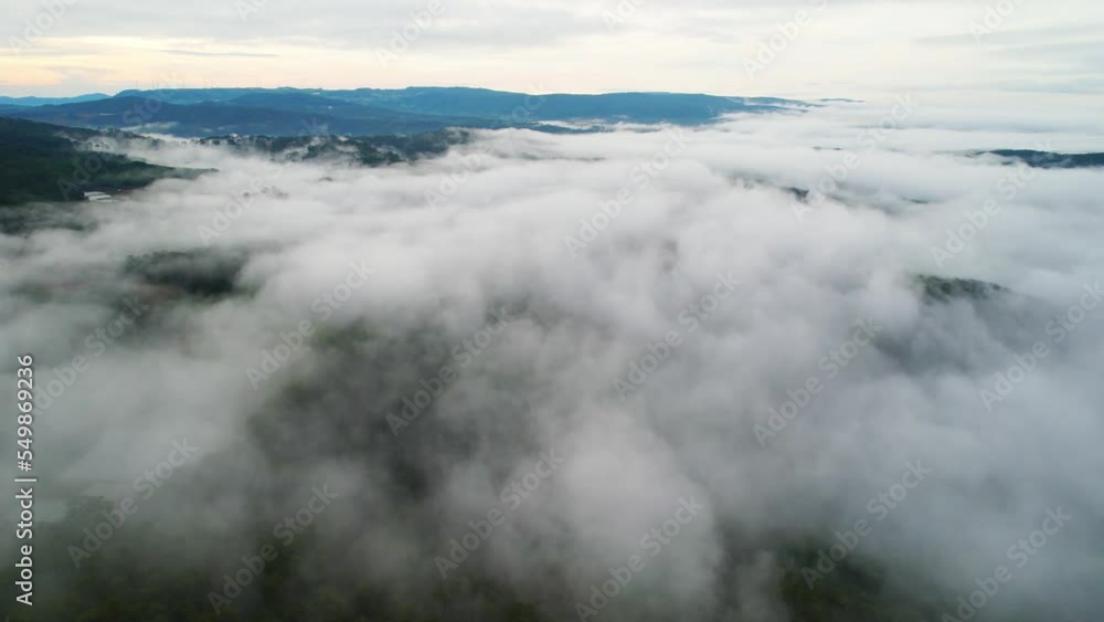 Sea fog on a mountain. Waves of clouds in the background peaks covered with pine forest and organic vegetable farm providing local food Sea fog on a mountain. Waves of clouds in the background peaks covered with pine forest and organic vegetable farm providing local food