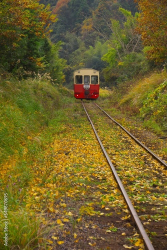 秋色の森を行くトロッコ列車　小湊鉄道　里見駅付近