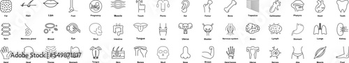 Human organ icons collection vector illustration design