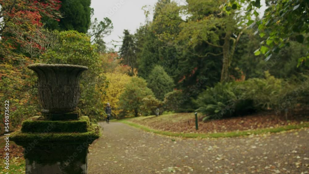 Woman strolls leisurely in Autumnal parkland scene selective focus Woman strolls leisurely in Autumnal parkland scene selective focus