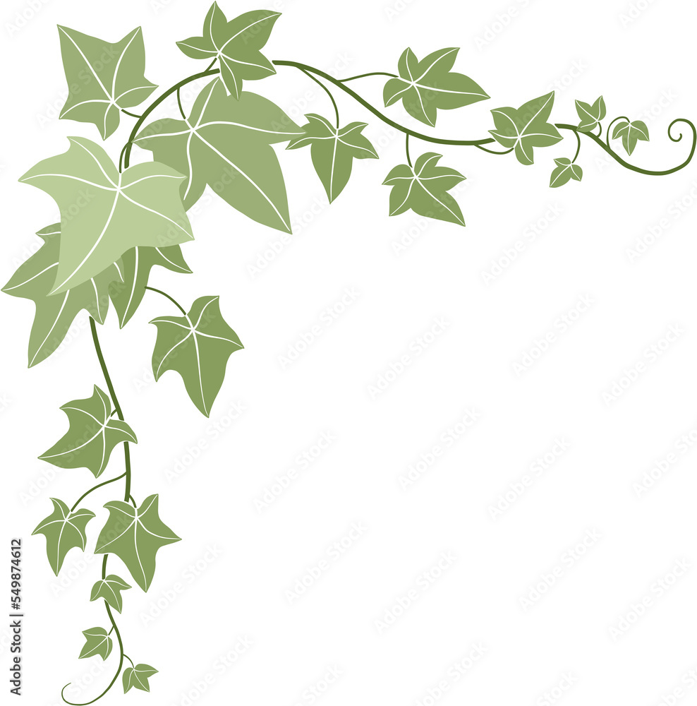 Simplicity ivy freehand drawing Simplicity ivy freehand drawing