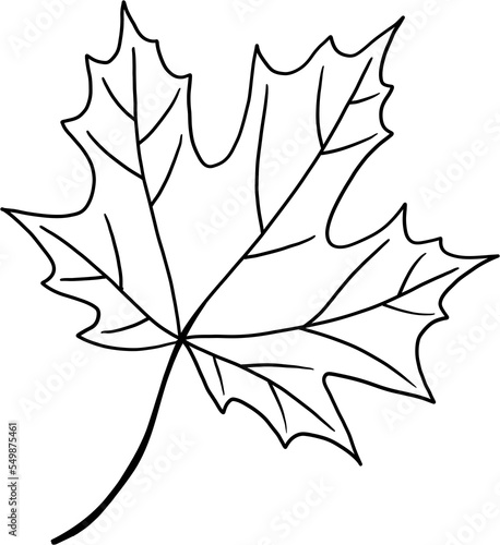 simplicity maple freehand drawing flat design.