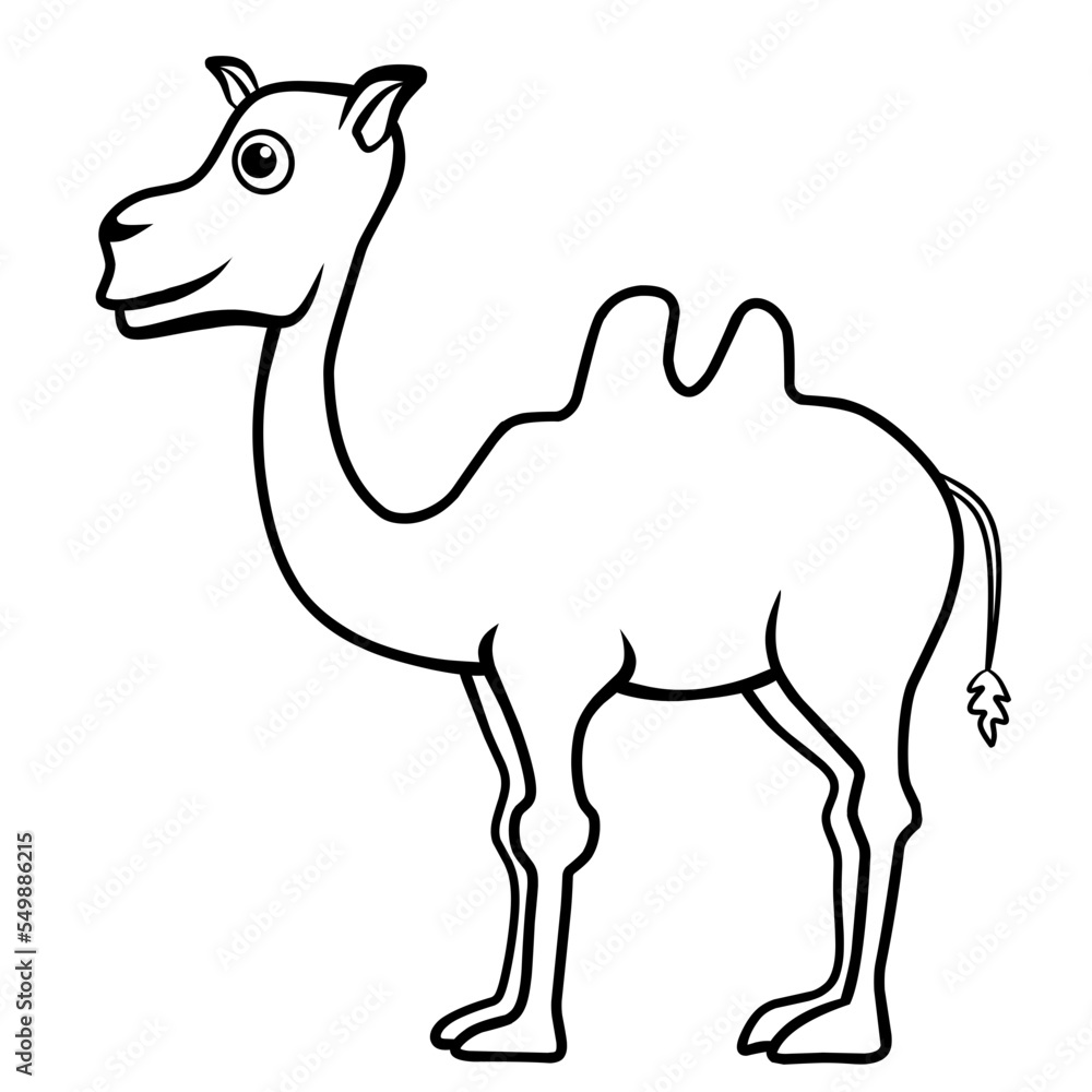 Fototapeta premium Coloring pages. Animals. Cute camel stands and smiles