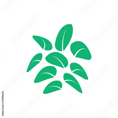 Leaf icon logo design template vector isolated