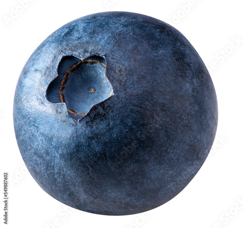 Blueberries fruit on white background, Fresh Blueberry on White Background PNG File. photo