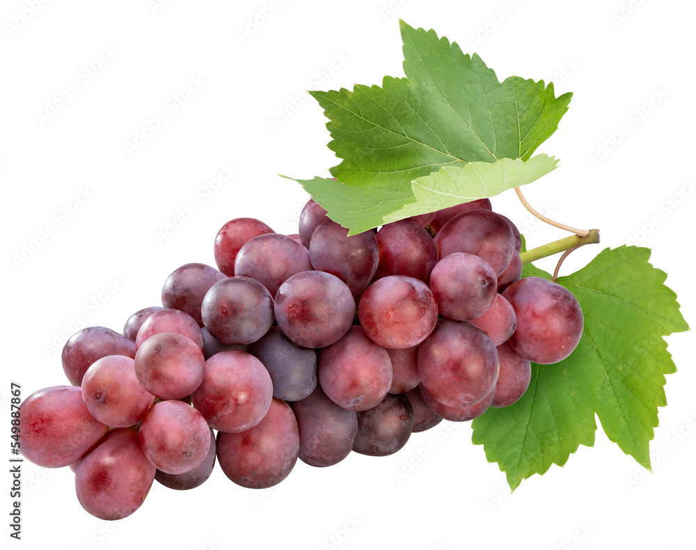 Red grape with leaves on white, Bunch of fresh red juicy grapes on white, With clipping path. Red grape with leaves on white, Bunch of fresh red juicy grapes on white, With clipping path.