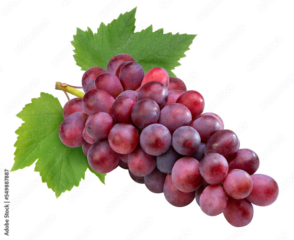 Fototapeta premium Red grape with leaves on white, Bunch of fresh red juicy grapes on white, With clipping path.
