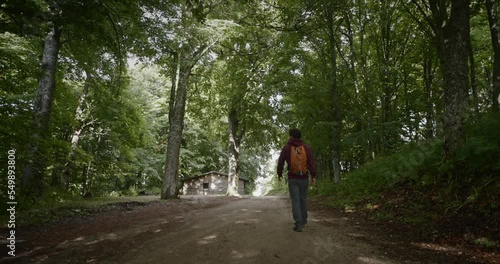 Wallpaper Mural Gimbal tracking a young hiker with a orange backpack and gurgundy red hoody walking on a forest path walking towards the forest cabin. Sun rays are seeping through. Torontodigital.ca