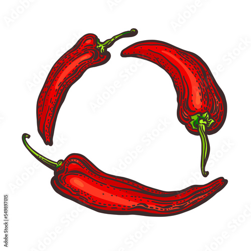Red pepper chilli. Vector set in circle. Hot spice