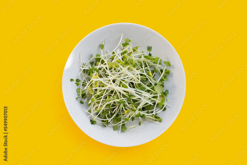 Kaiware (daikon radish sprouts) on yellow background. Kaiware (daikon radish sprouts) on yellow background.
