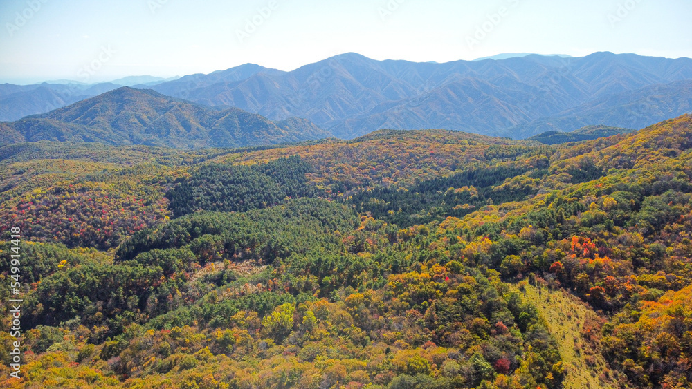 日本の山の紅葉