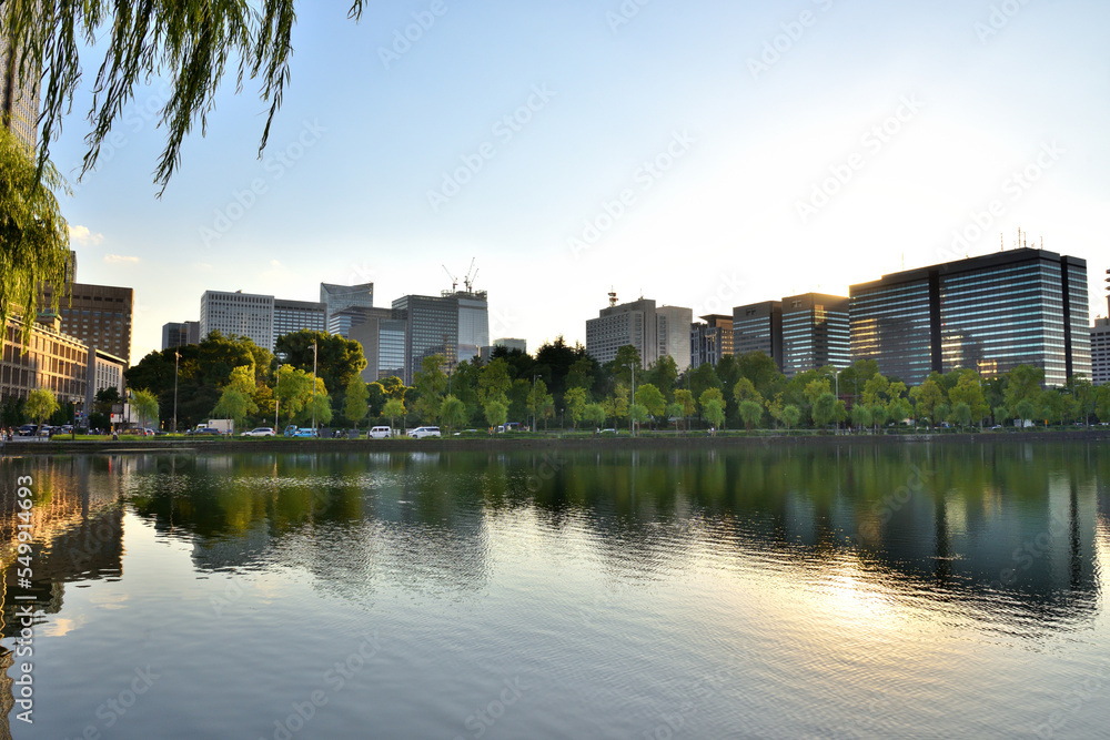 皇居日比谷濠に映りこむ公園の緑と霞が関ビル群
