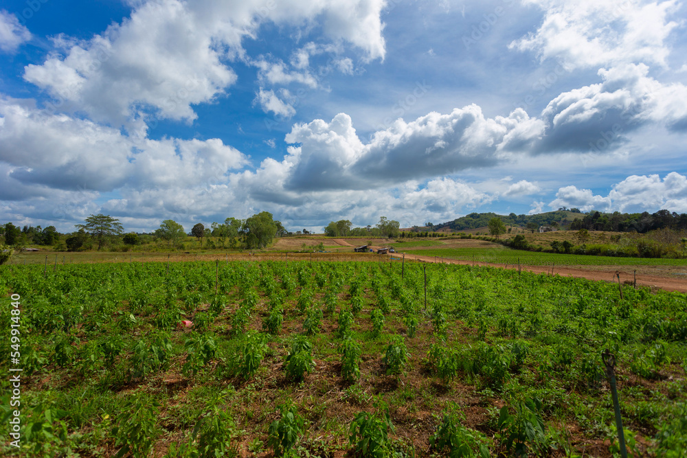 The agricultural area on the plateau.