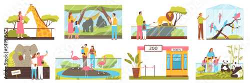 Zoo Compositions Set