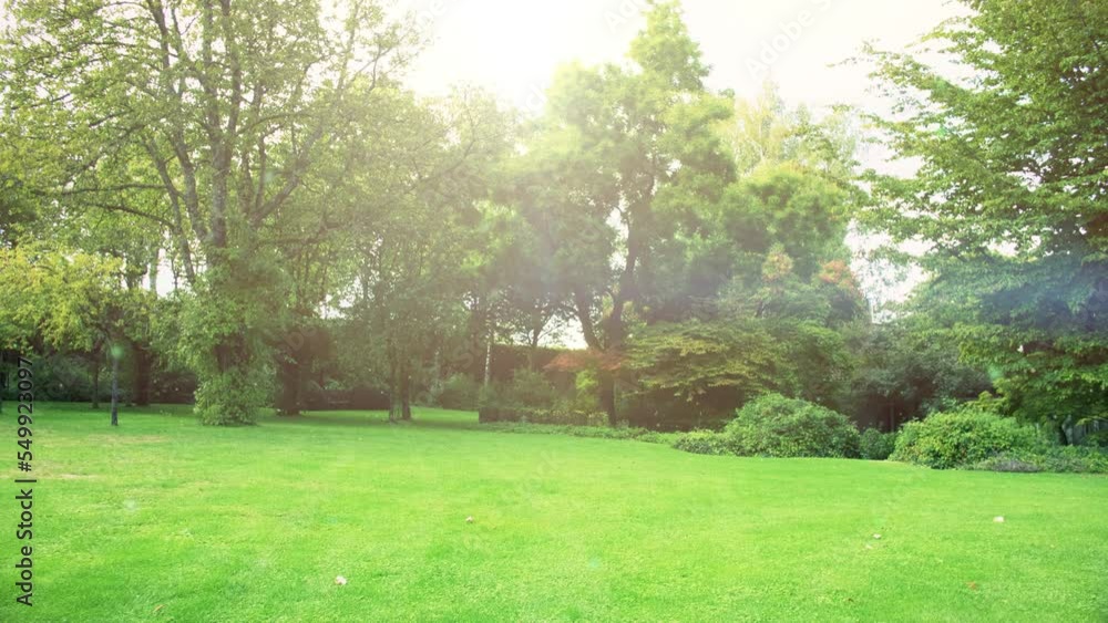 scenic beautiful daylight mood in european park or garden, sun shining through the trees creating a bright lens flare, fireflies dancing over the lawn in the atmospheric light filled air scenic beautiful daylight mood in european park or garden, sun shining through the trees creating a bright lens flare, fireflies dancing over the lawn in the atmospheric light filled air