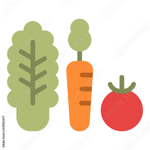 vegetables tomato dit salad icon photo