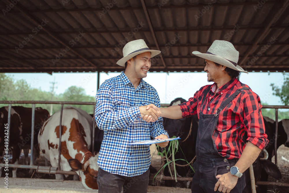 Farmer and worker shaking hands on the dairy farm,Agriculture industry