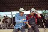 Two male farmer working and checking on his livestock in the dairy farm .Agriculture industry, farming and animal husbandry concept ,Cow on dairy farm eating hay. Cowshed.