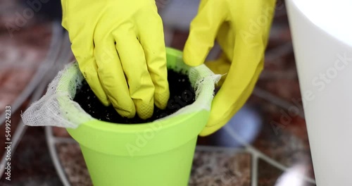 Closeup of gloved hands stirring soil in flowerpot photo