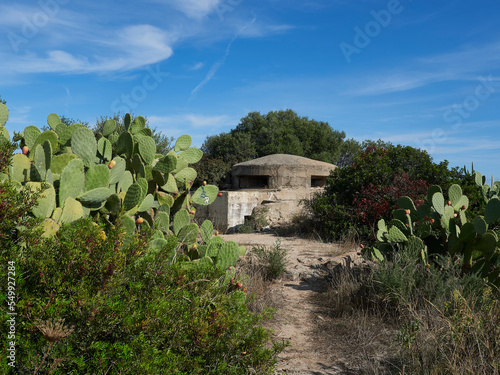 A picture of a second world war bunker photo