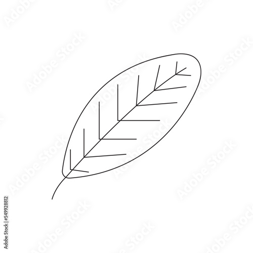 leaf icon isolated on a white background. flat design  © BlackMirageArt