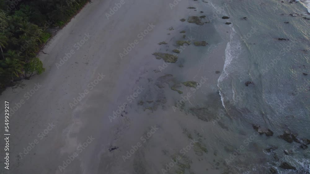 Sandy Shore And Beach At The Daintree National Park In Far North Queensland, Australia - aerial drone shot