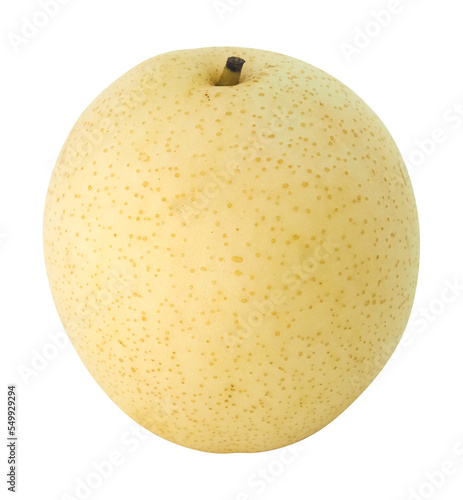 Chinese pear