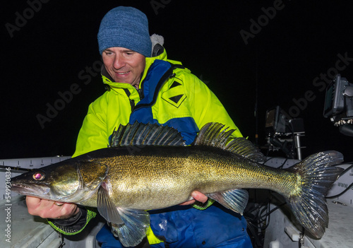 Big zander from night fishing session