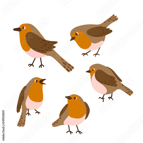 Cartoon robin bird icon set. Cute winter bird in different poses collection. Vector illustration for prints, clothing, packaging, stickers