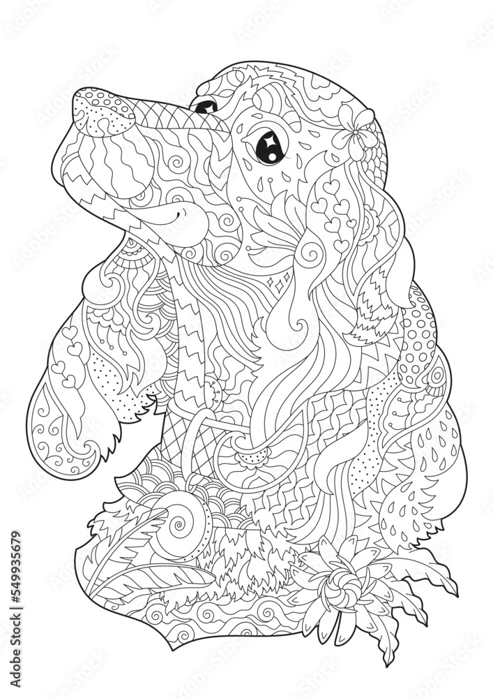 Fototapeta premium Anti-stress coloring book with a portrait of an English Cocker spaniel, with beautiful ornaments for coloring by children and adults