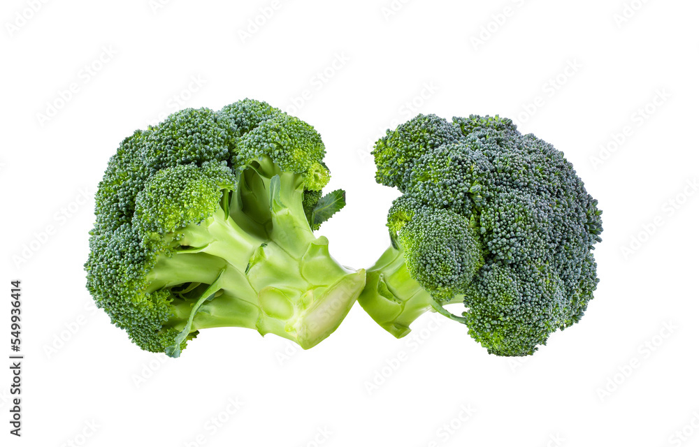 broccoli isolated on transparent png broccoli isolated on transparent png