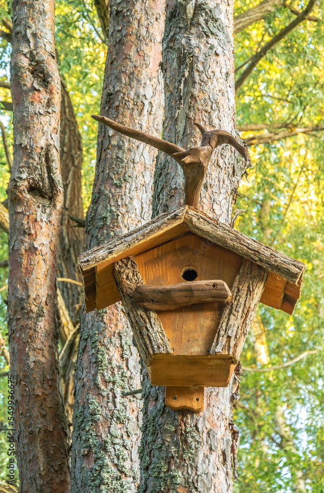 Wooden birdhouse on a tree in the spring forest