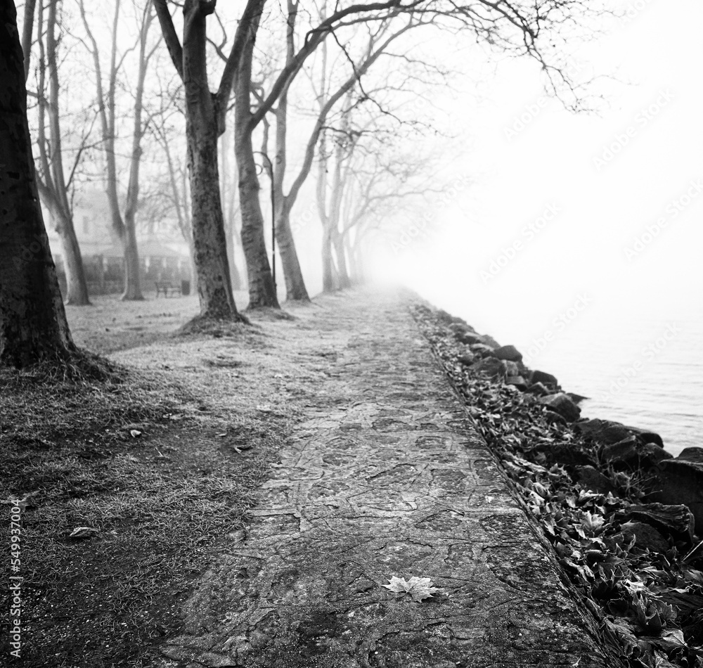Naklejka premium Foggy scenes of Balatonföldvár, Hungary in winter