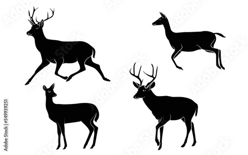 deer silhouette  vector collection. Set of deer silhouettes in various poses vector