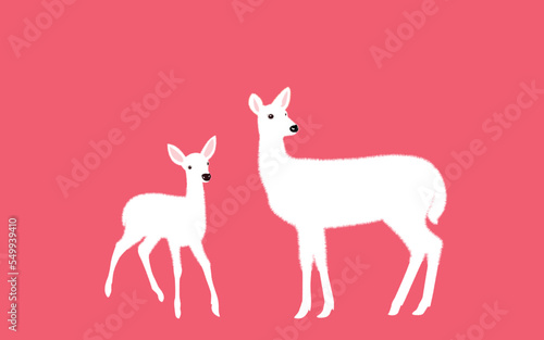 White-tailed deer - deer family. Deer in various poses. Female deer, vector illustration