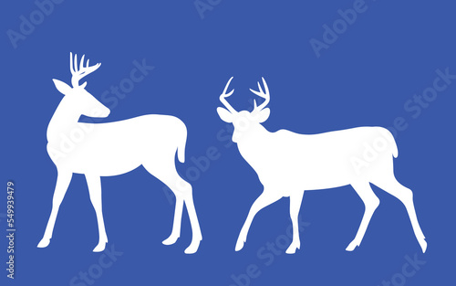 White-tailed deer - deer family. Deer in various poses. vector illustration
