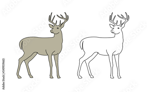 Collection of line drawings of deer - deer family. Deer in various poses. vector illustration