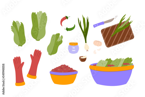 Korean gimjang, annual traditional kimchi cooking. Kimjang ingredients set. Colored flat vector illustration isolated on white background