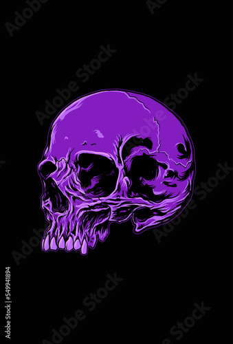 Purple color skull vector illustration