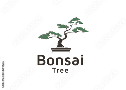bonsai tree logo design