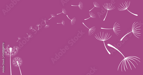 Vector illustration dandelion seed blown in the wind