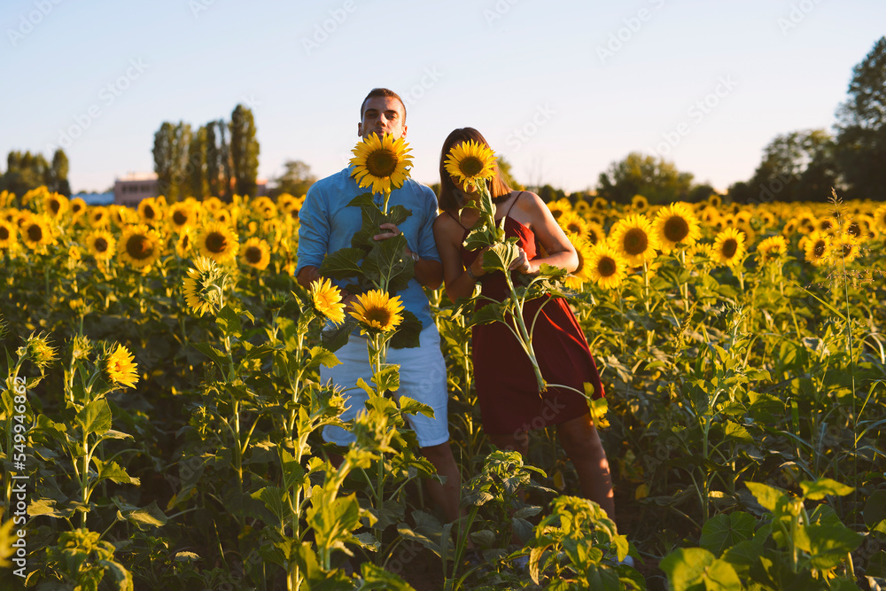 
couple hides behind sunflower