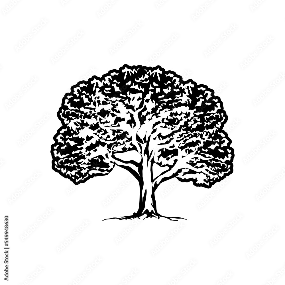 Natural silhouette of a wood tree. template tree isolated