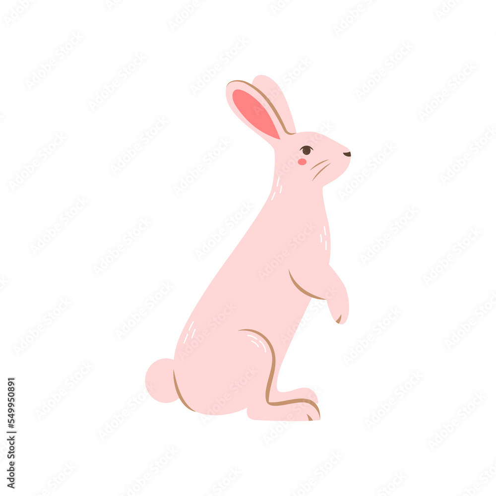 Vector cute rabbit. Flat illustration. Vector cute rabbit. Flat illustration.