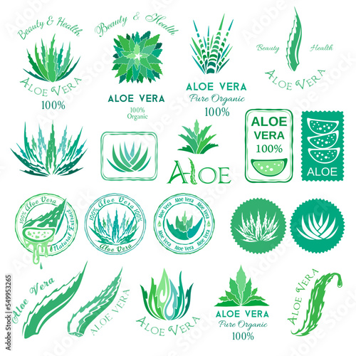 Aloe vera design elements. Stencil style.