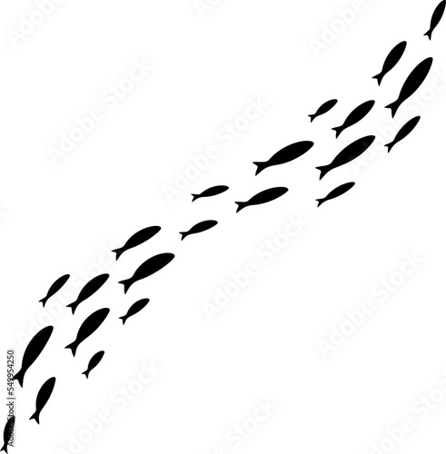 Colony of swiming sea or aquarium fishes. Group of silhouttes .