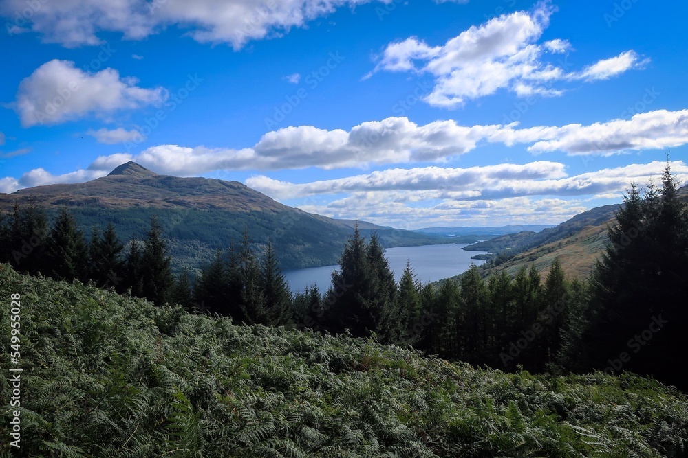 Loch Lomond park landscape by summer, Scotland