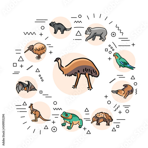 Australian animals web banner. Infographics with linear icons